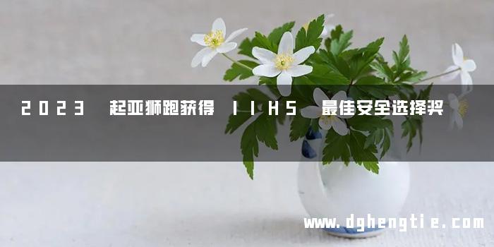 2023 起亚狮跑获得 IIHS 最佳安全选择奖